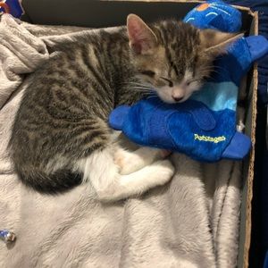 Meet your Posher, Jorge